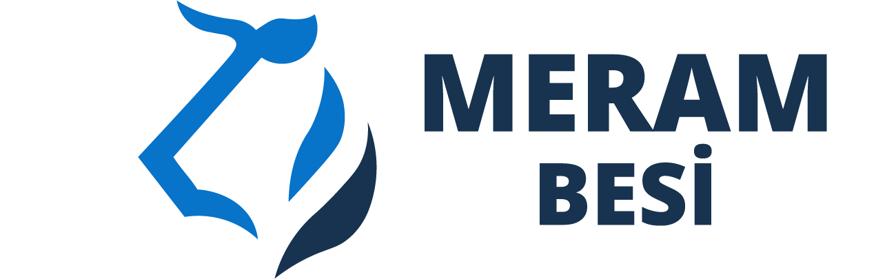 Meram Besi