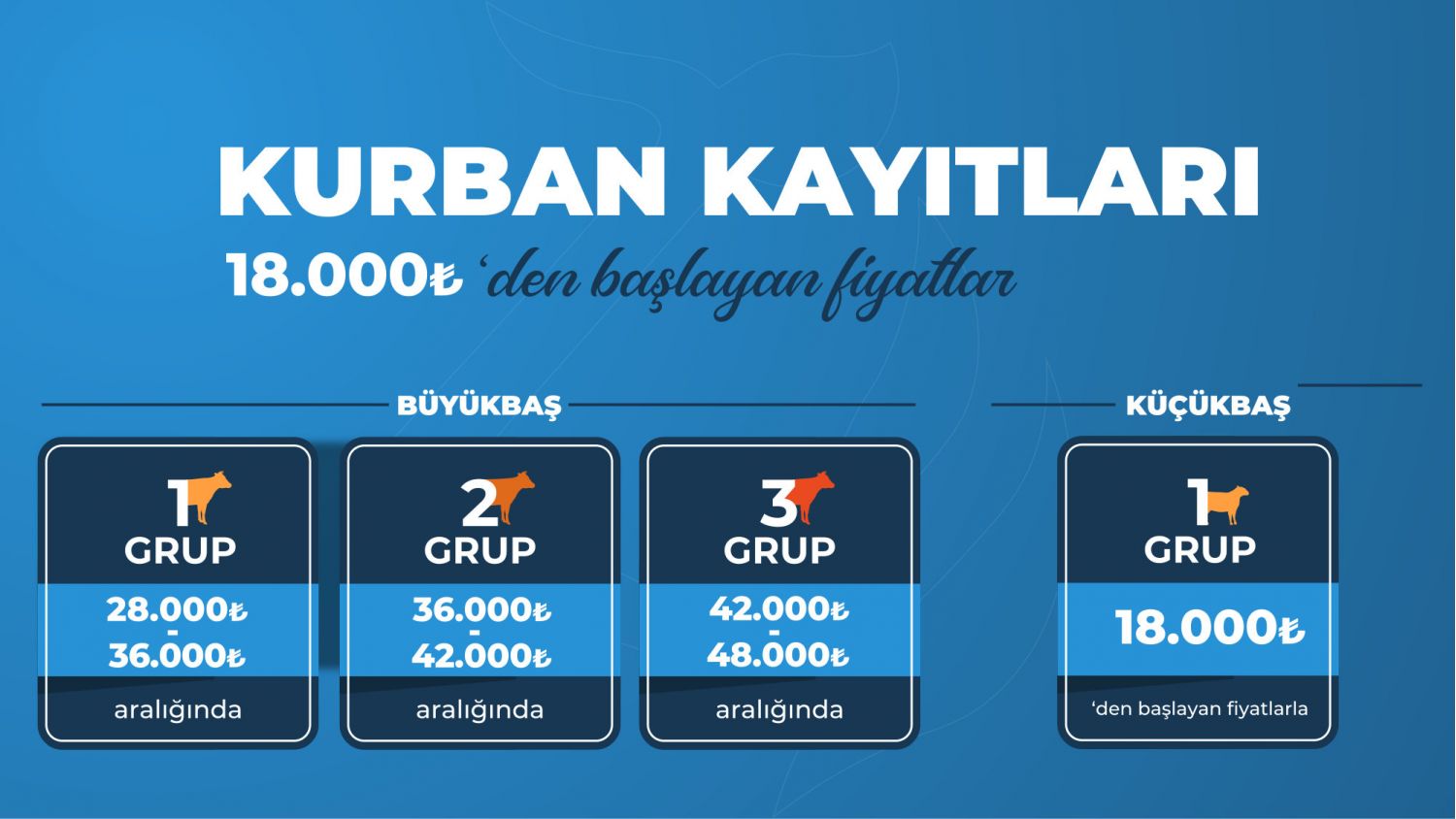 Büyük Baş Kurbanlıklar - 7 / 7 Hisseler