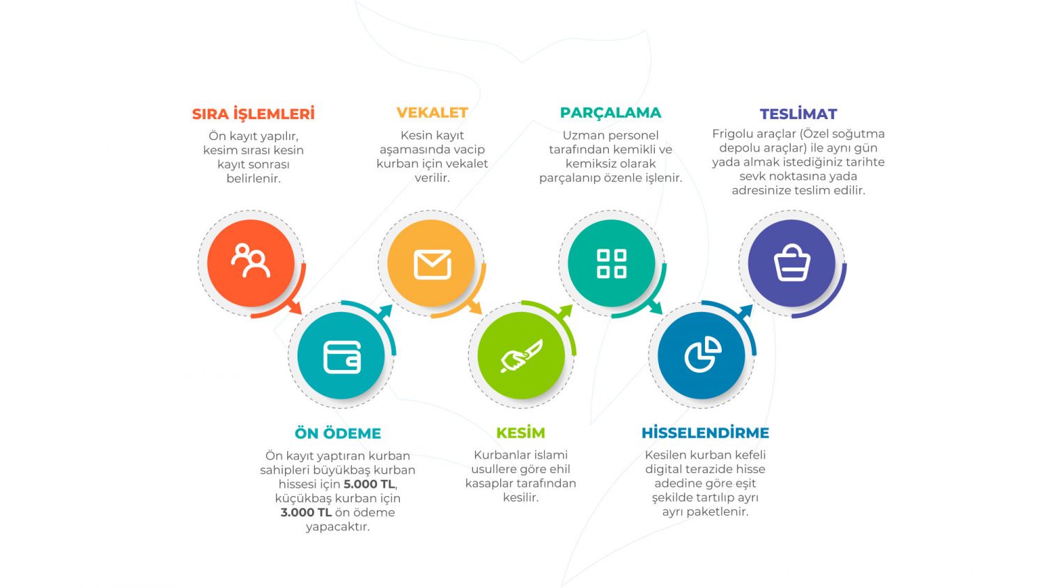 Büyük Baş Kurbanlıklar - 7 / 7 Hisseler