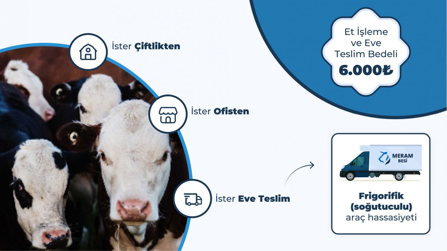 Büyük Baş Kurbanlıklar - 7 / 7 Hisseler