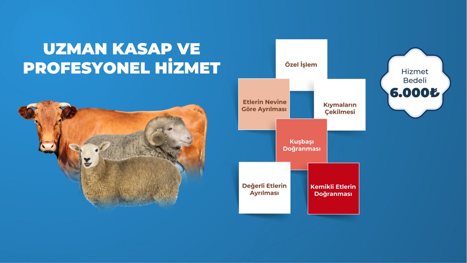 Büyük Baş Kurbanlıklar - 7 / 7 Hisseler