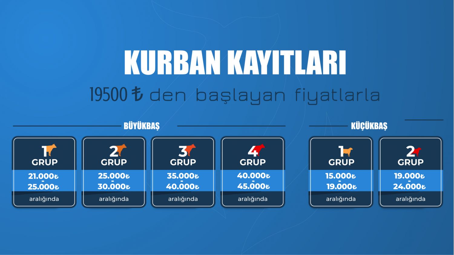 Büyük Baş Kurbanlıklar - 7 / 7 Hisseler